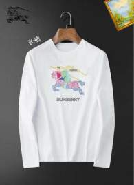 Picture of Burberry T Shirt Long _SKUBurberryS-4XL25tx2949971